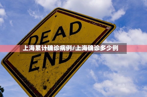 上海累计确诊病例/上海确诊多少例