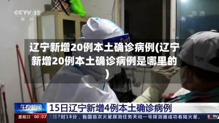 辽宁新增20例本土确诊病例(辽宁新增20例本土确诊病例是哪里的)-第3张图片