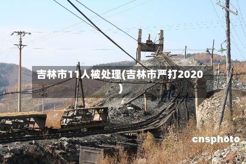 吉林市11人被处理(吉林市严打2020)