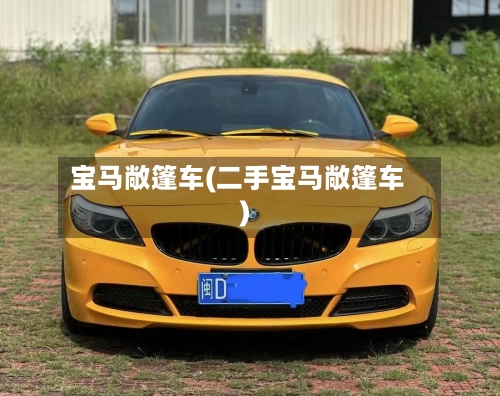 宝马敞篷车(二手宝马敞篷车)-第2张图片