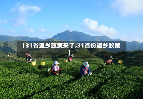 【31省返乡政策来了,31省份返乡政策】