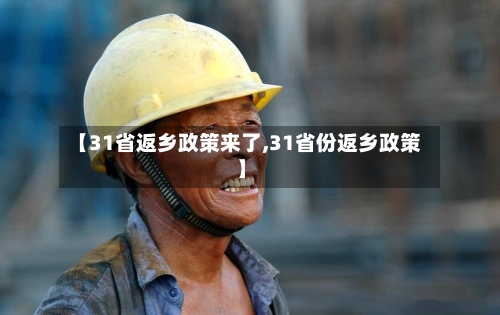 【31省返乡政策来了,31省份返乡政策】-第3张图片