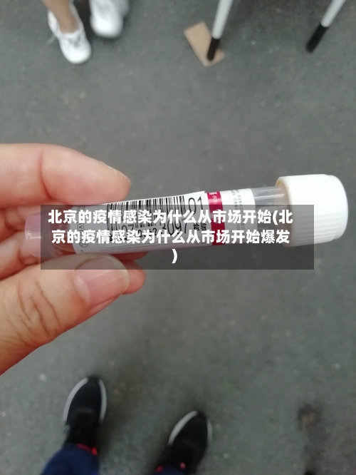 北京的疫情感染为什么从市场开始(北京的疫情感染为什么从市场开始爆发)