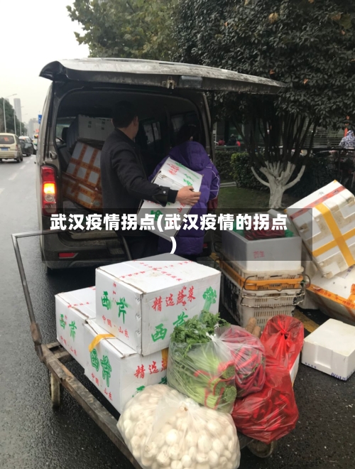 武汉疫情拐点(武汉疫情的拐点)