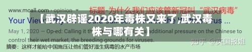【武汉辟谣2020年毒株又来了,武汉毒株与哪有关】