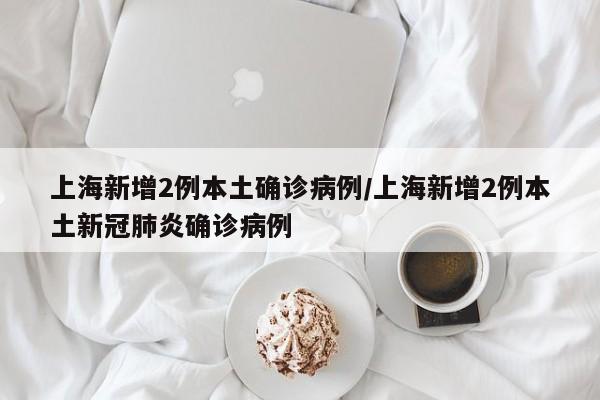 上海新增2例本土确诊病例/上海新增2例本土新冠肺炎确诊病例